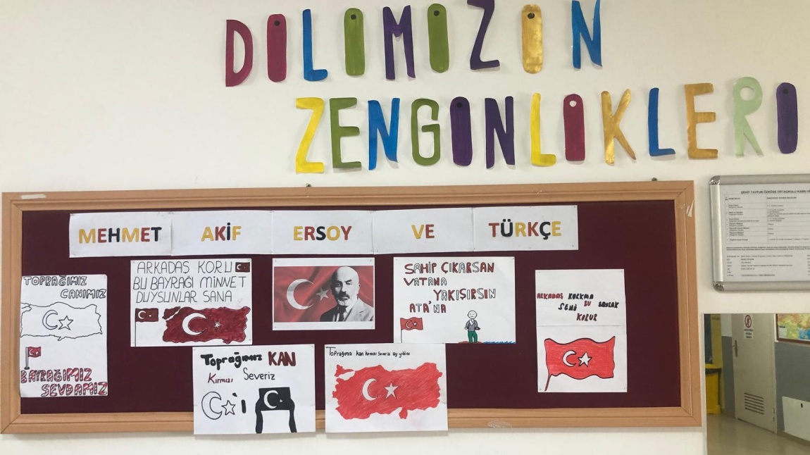 Dilimizin Zenginlikleri-Mehmet Akif Ersoy ve Türkçe